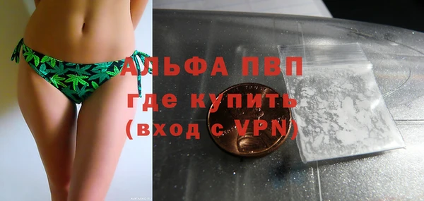 дживик Осинники