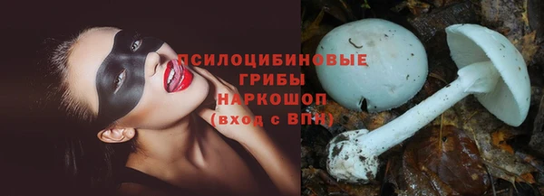дживик Осинники