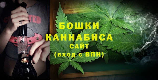дживик Осинники